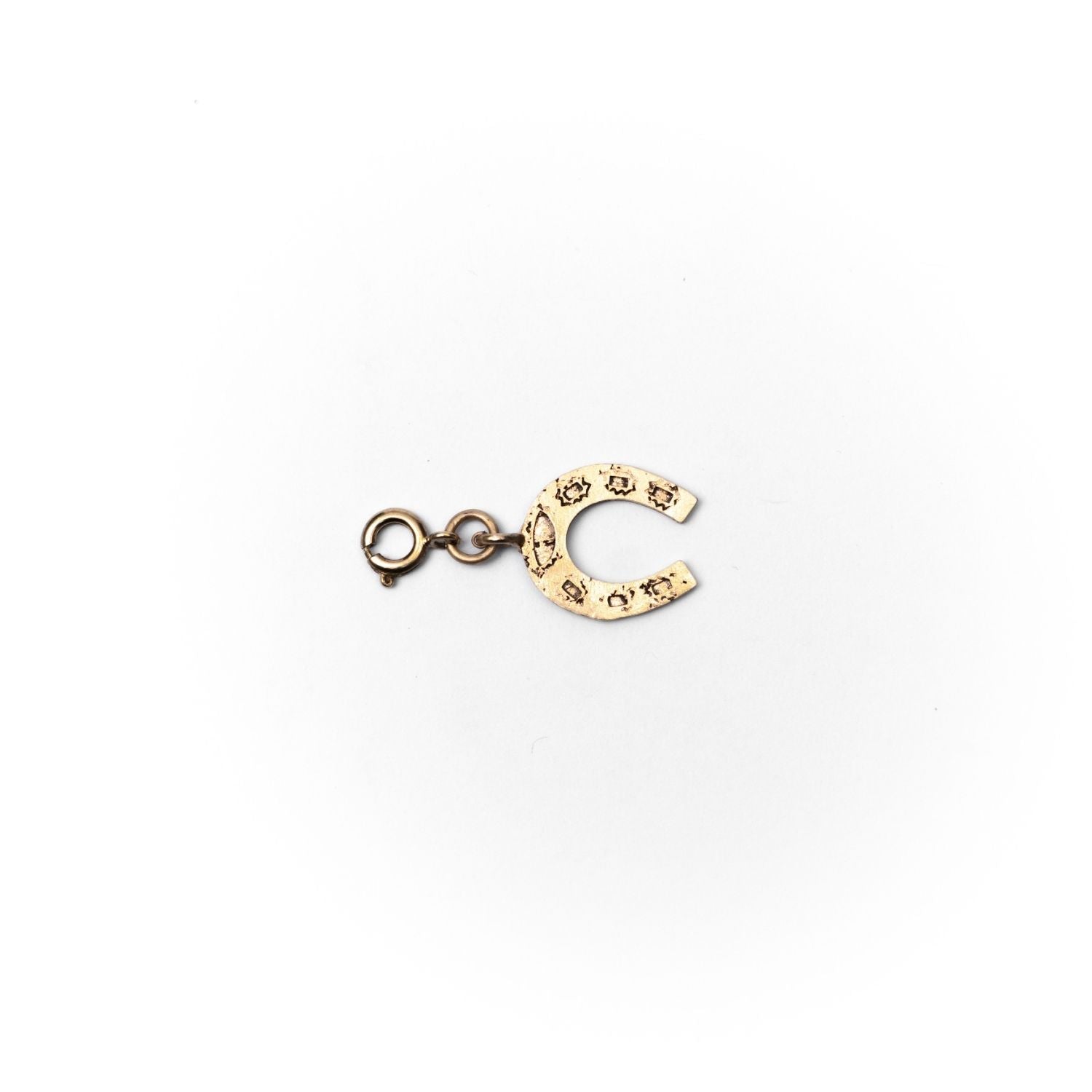 Horse Shoe Charm/Pin